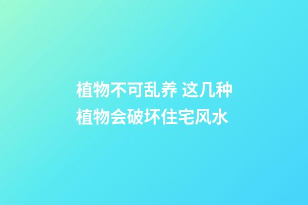 植物不可乱养 这几种植物会破坏住宅风水